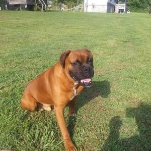 Meet your Posher, Ace